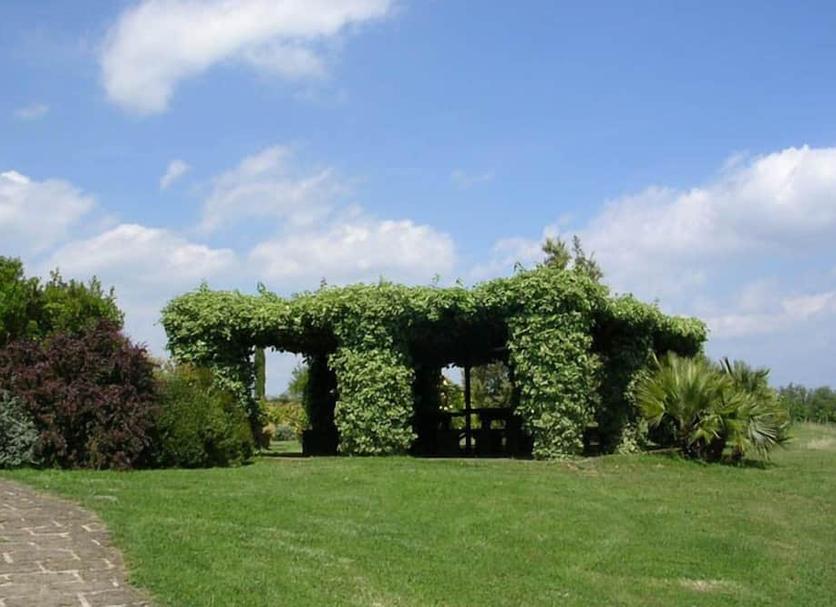 Outdoors view Photo