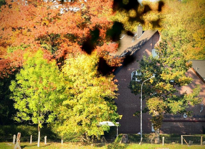 Outdoors view Photo