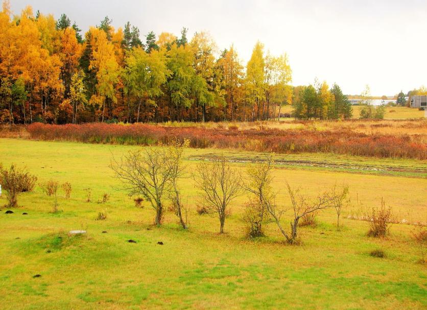 Outdoors view Photo