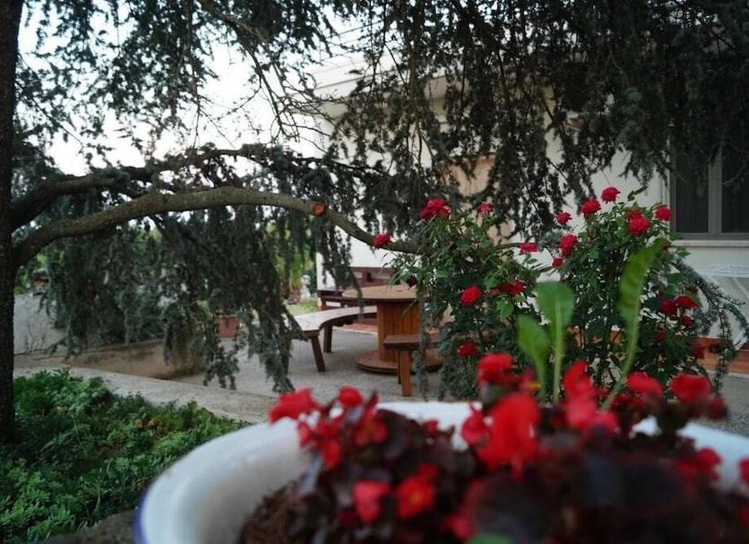 Outdoors view Photo
