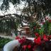 Outdoors view