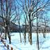 Outdoors view