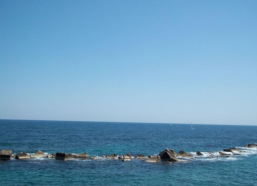 Other Photo