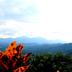 Outdoors view