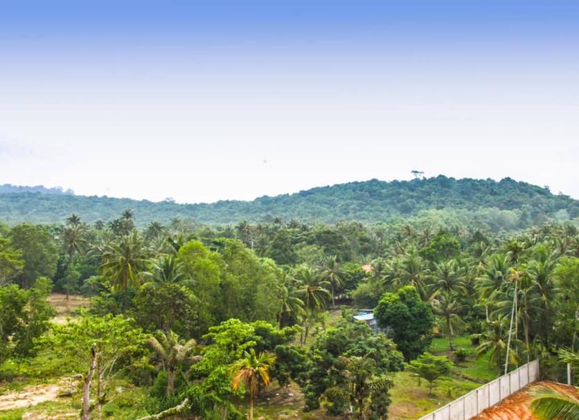 Outdoors view Photo