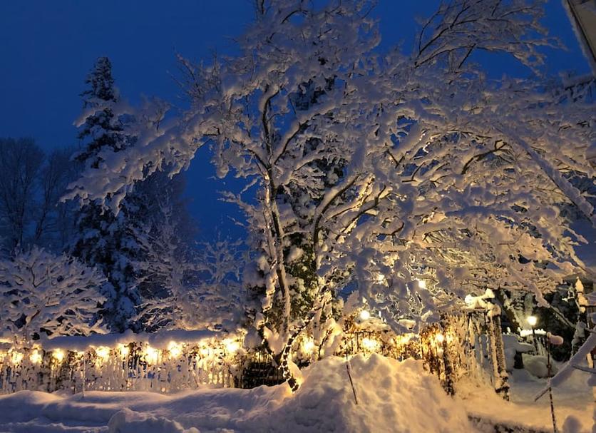 Outdoors view Photo