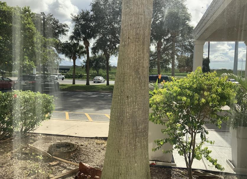 Outdoors view Photo