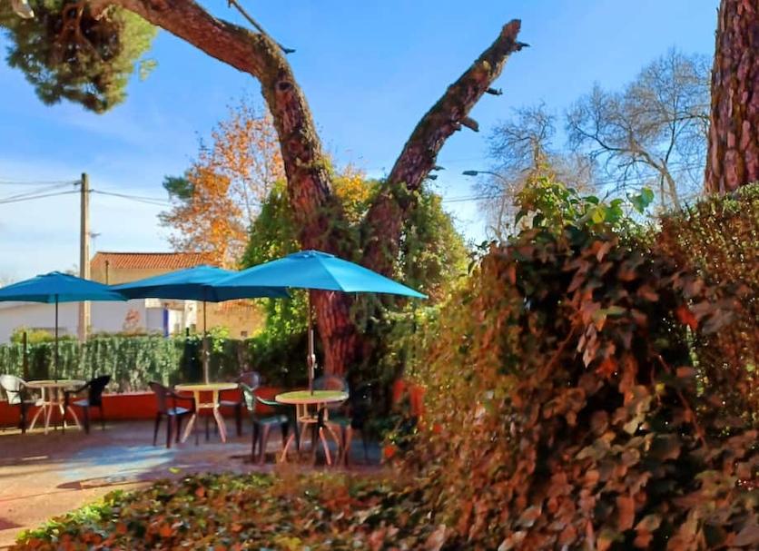 Patio Photo
