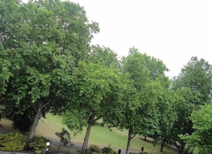 Outdoors view Photo