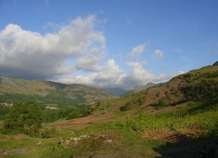 Outdoors view Photo