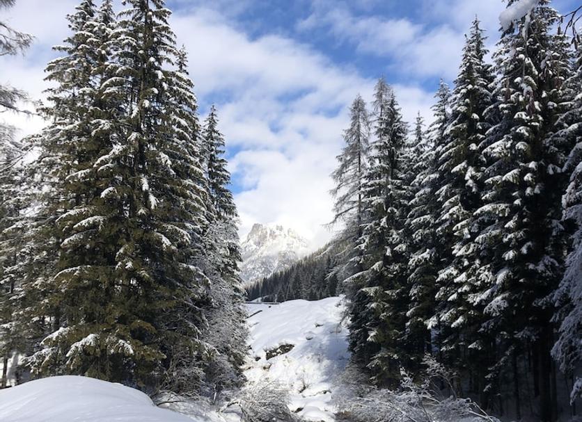 Outdoors view Photo