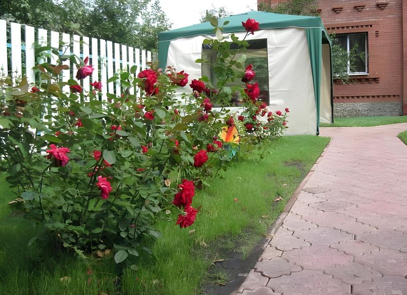 Outdoors view Photo