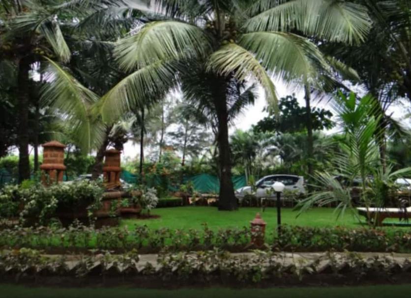 Outdoors view Photo