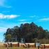 Outdoors view