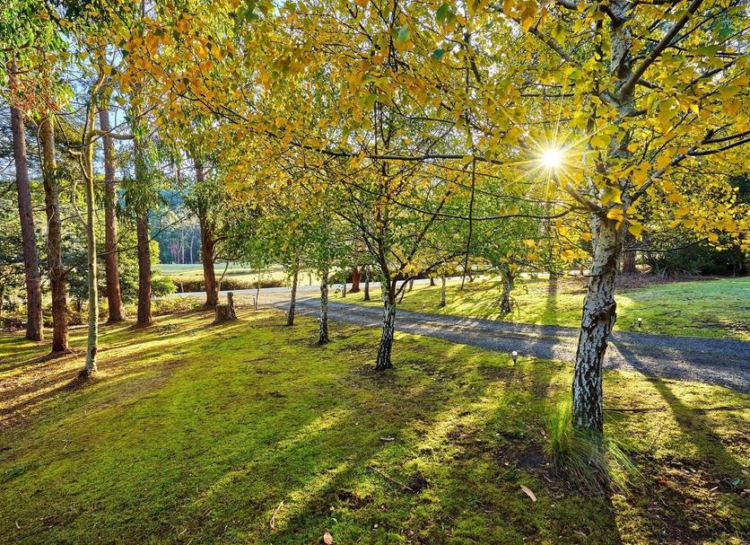 Outdoors view Photo