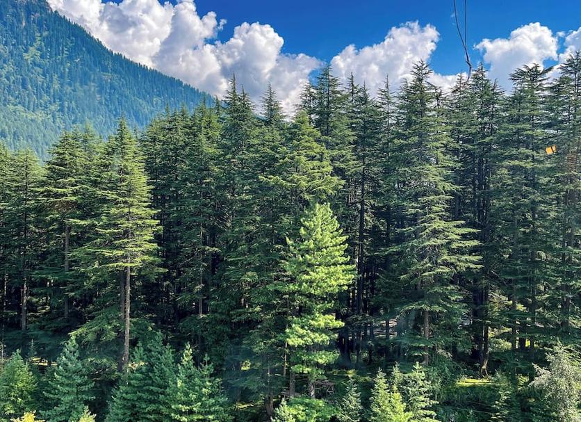 Outdoors view Photo