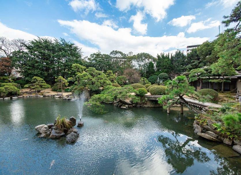 Outdoors view Photo