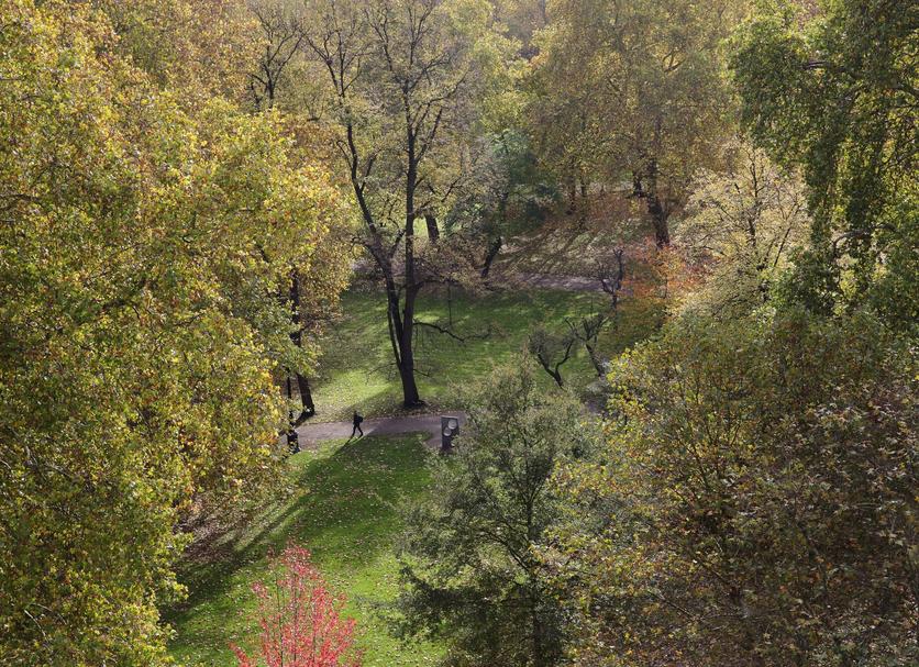 Outdoors view Photo