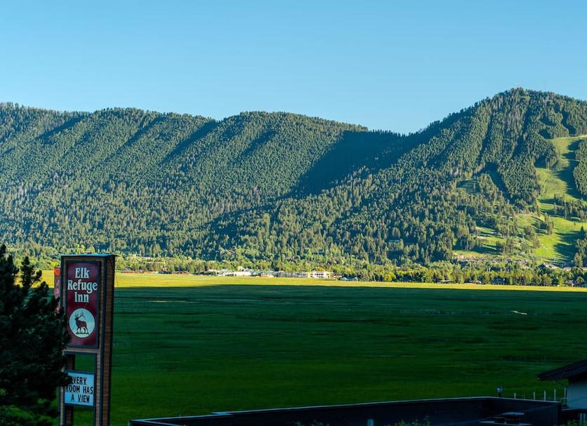 Outdoors view Photo