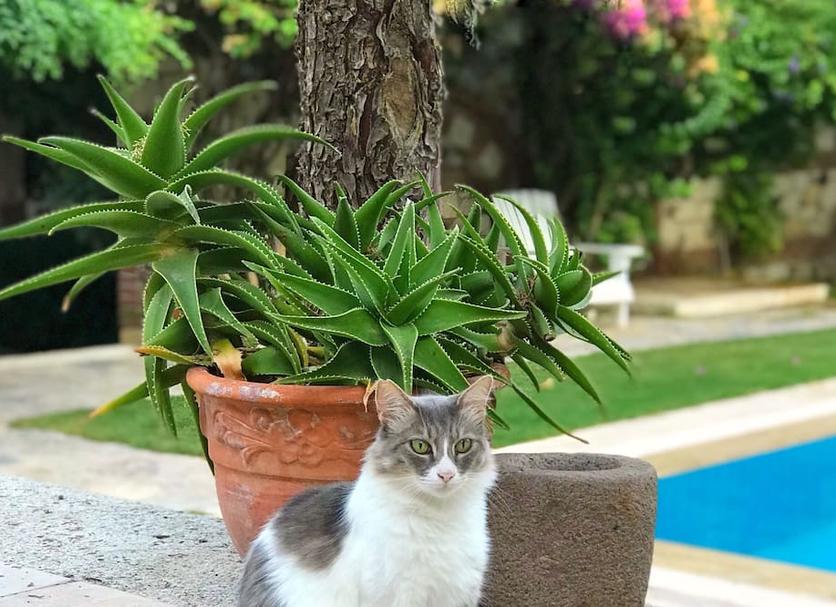 Outdoors view Photo