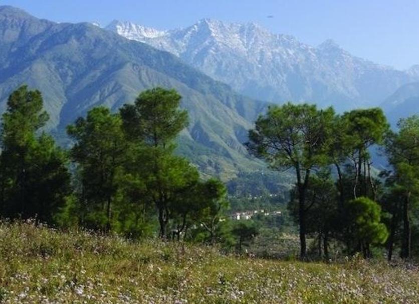 Outdoors view Photo