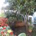 Outdoors view