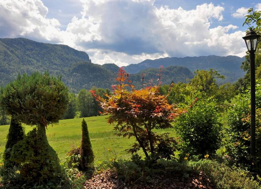 Outdoors view Photo