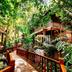 Outdoors view