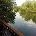 Outdoors view