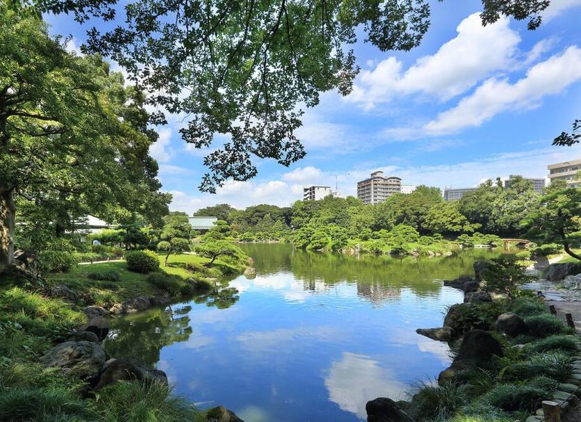 Outdoors view Photo