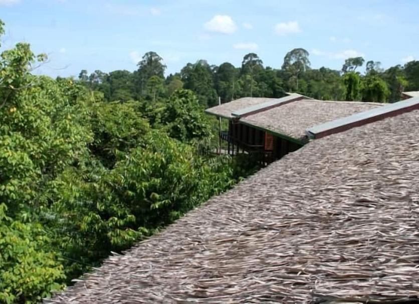 Outdoors view Photo