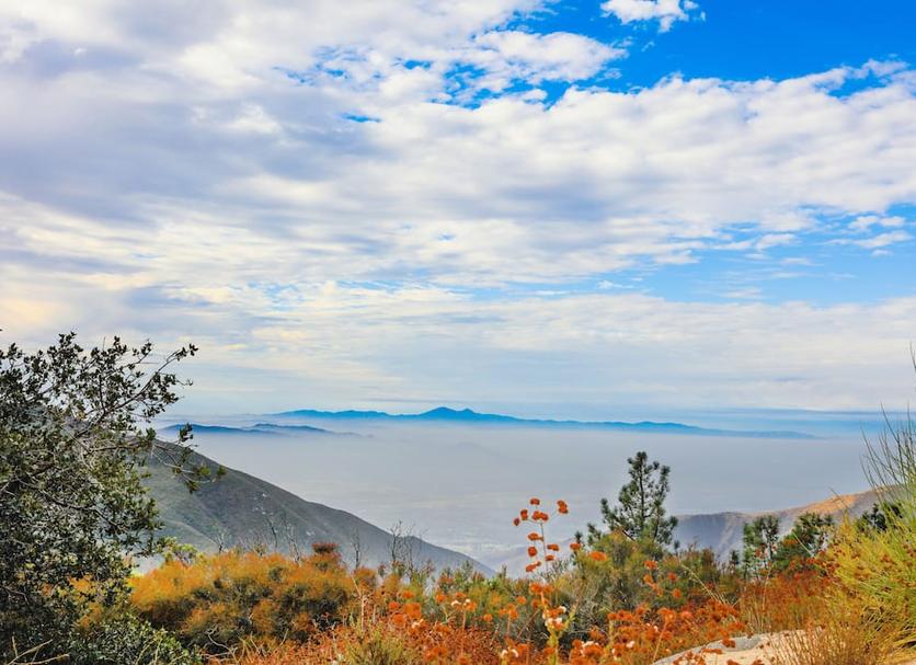 Outdoors view Photo