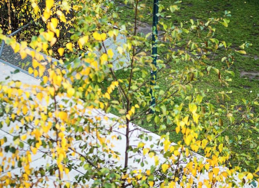 Outdoors view Photo