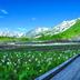 Outdoors view