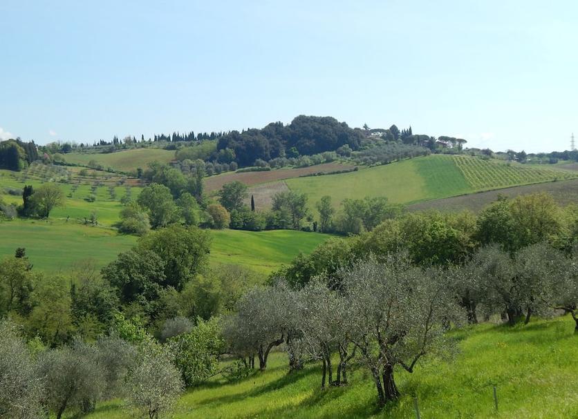 Outdoors view Photo