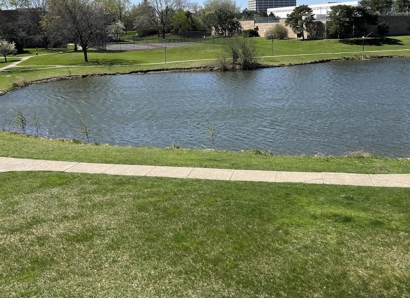 Outdoors view Photo