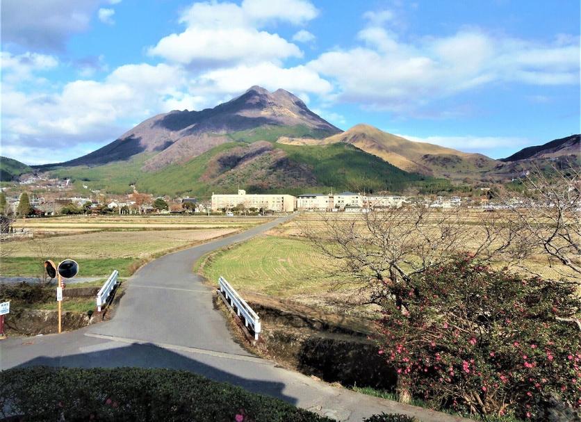 Outdoors view Photo