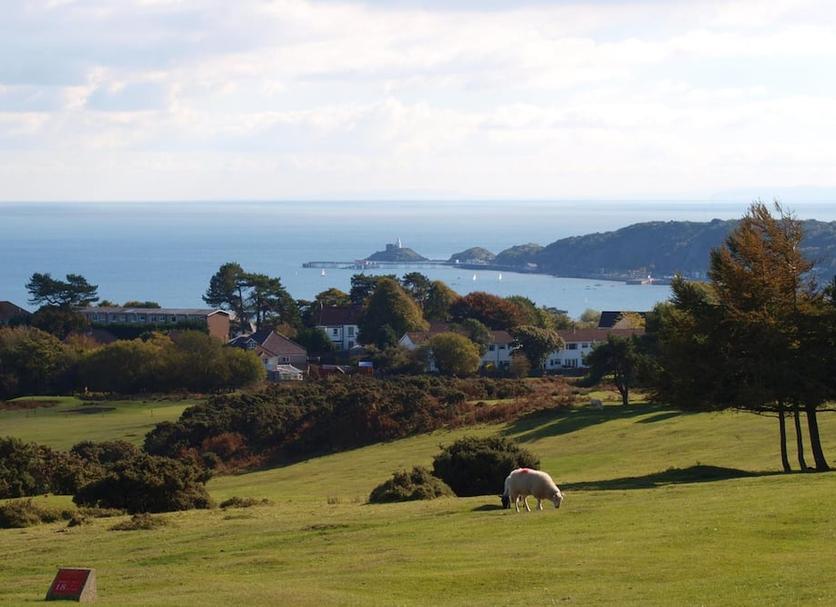 Outdoors view Photo
