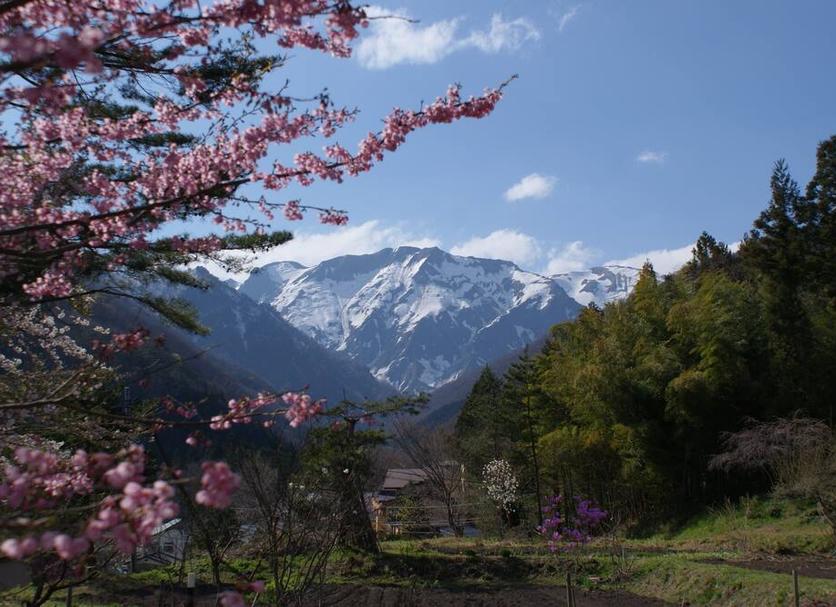 Outdoors view Photo