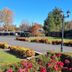 Outdoors view