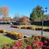 Outdoors view