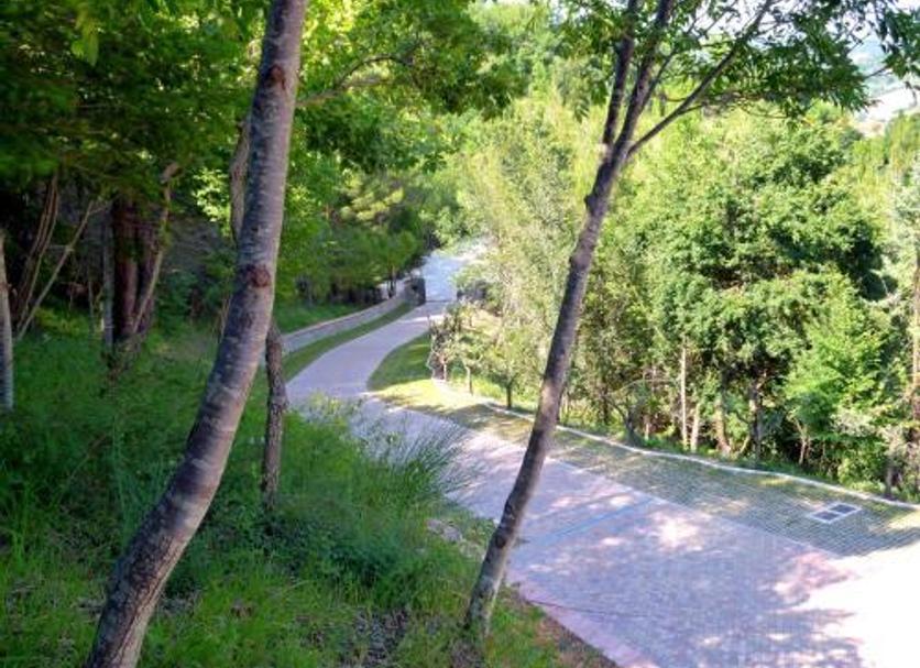Outdoors view Photo