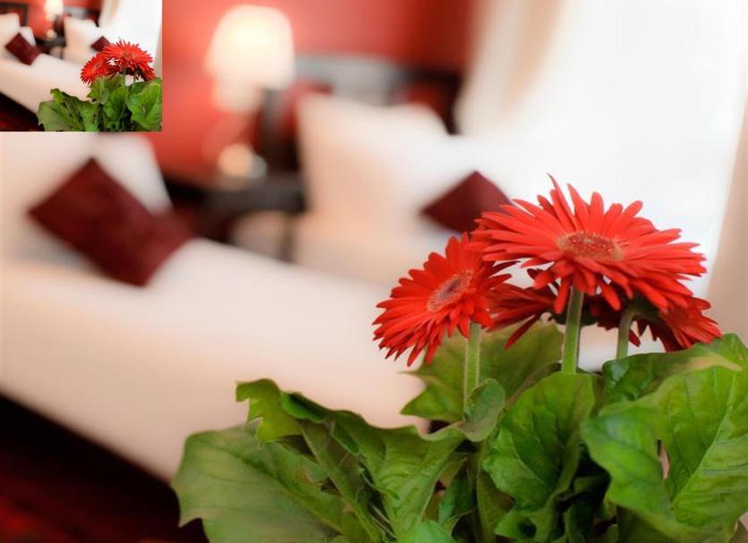 Room amenity Photo