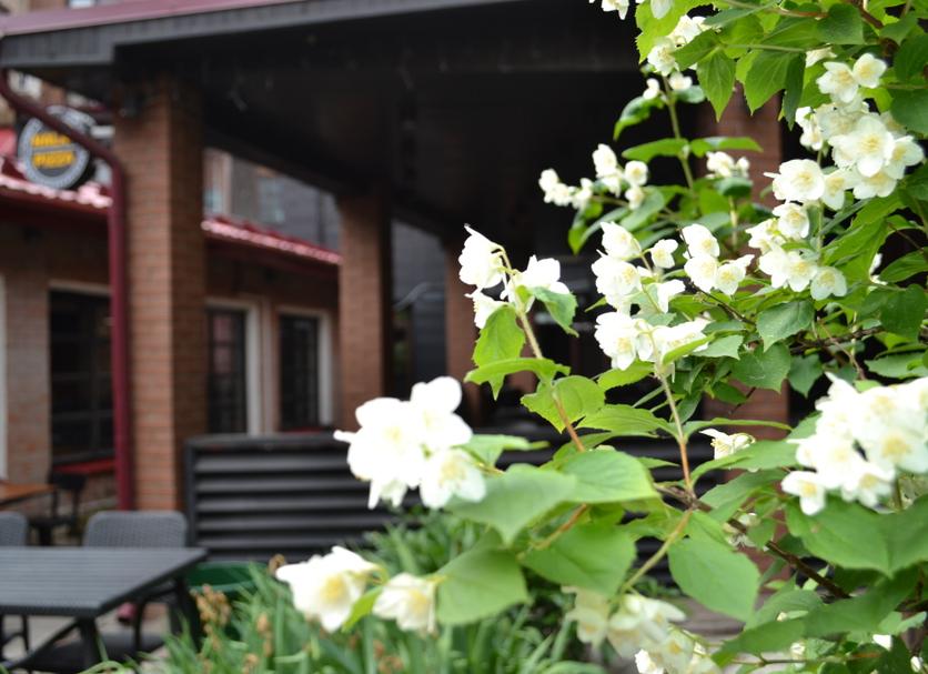 Outdoors view Photo