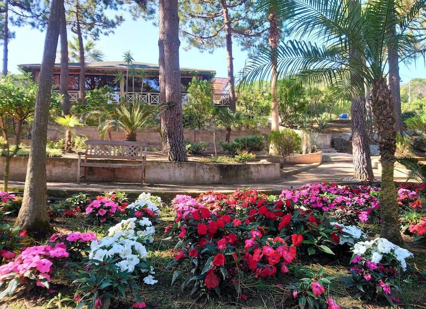 Outdoors view Photo