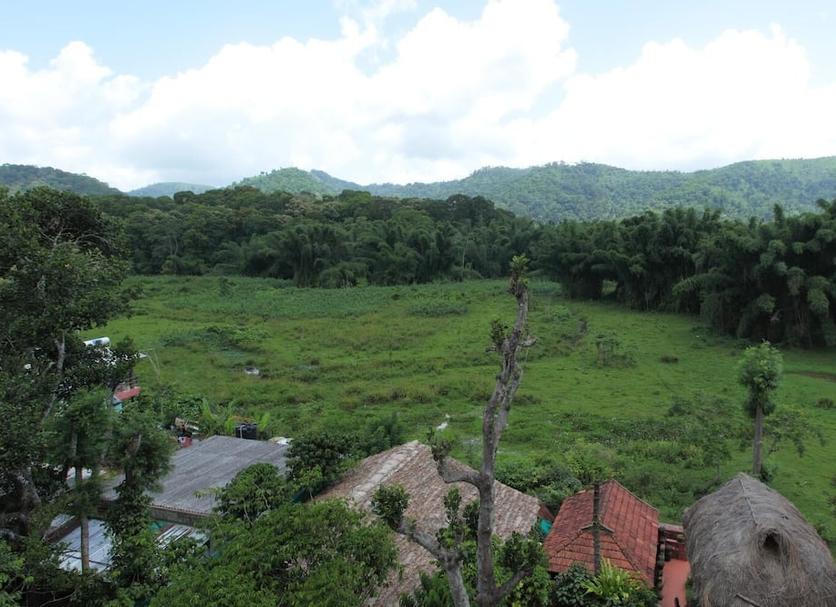 Outdoors view Photo