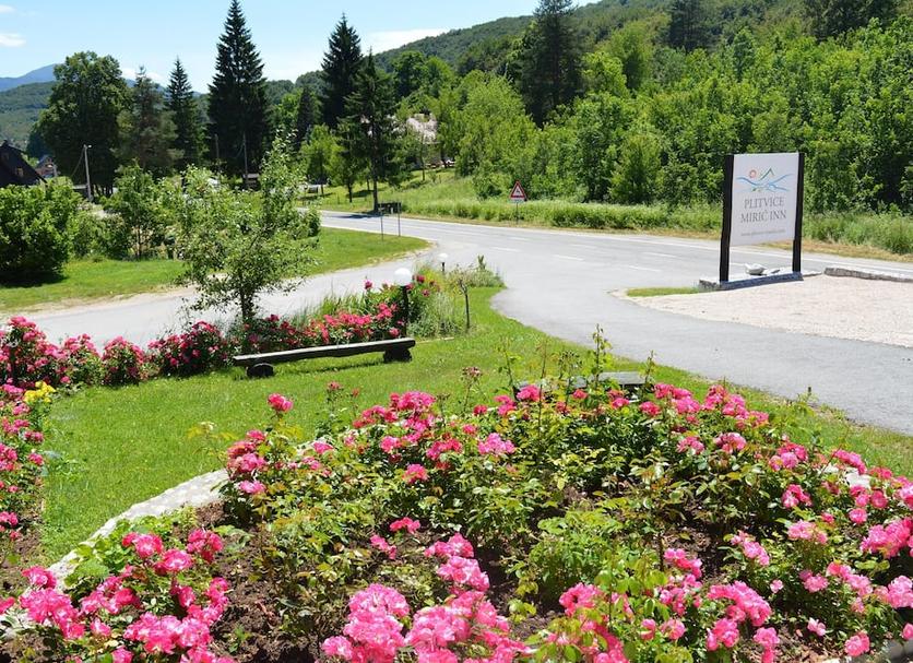 Outdoors view Photo