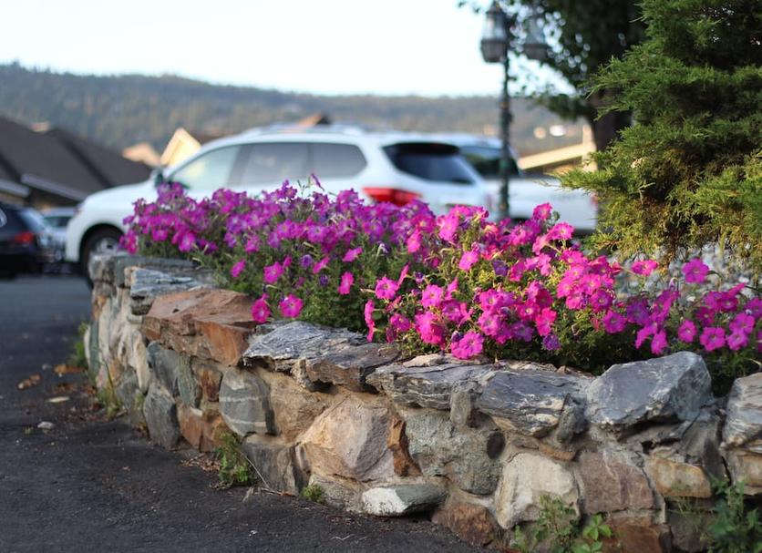 Outdoors view Photo