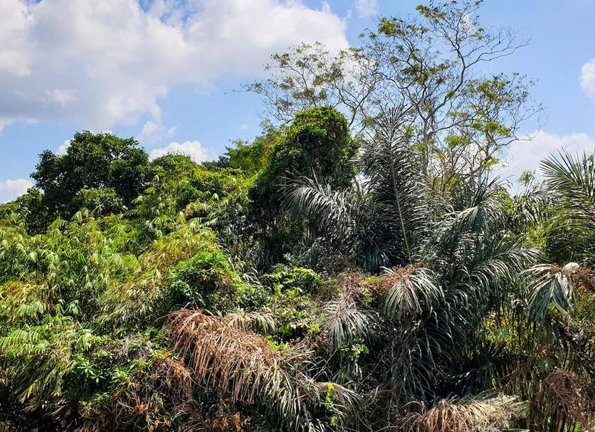 Outdoors view Photo