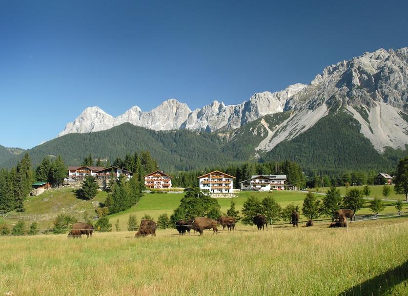 Outdoors view Photo
